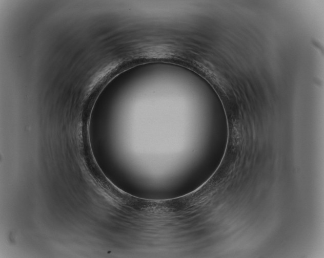 X0000097630535200802291343