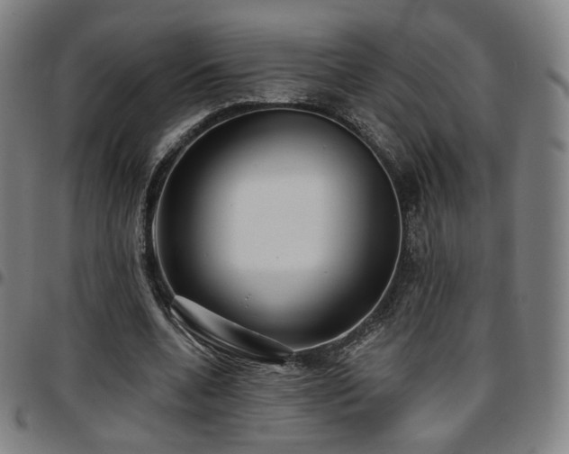X0000097630536200802291343