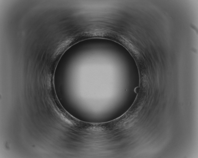X0000097630537200802291343
