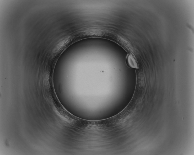 X0000097630538200802291343
