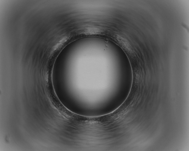 X0000097630539200802291343