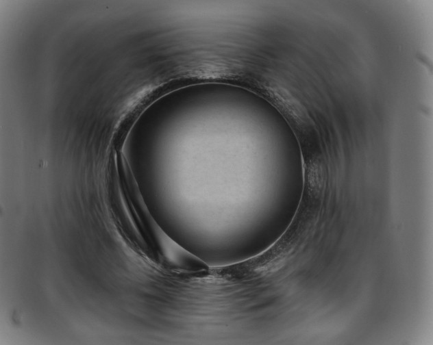 X0000097630540200802291343