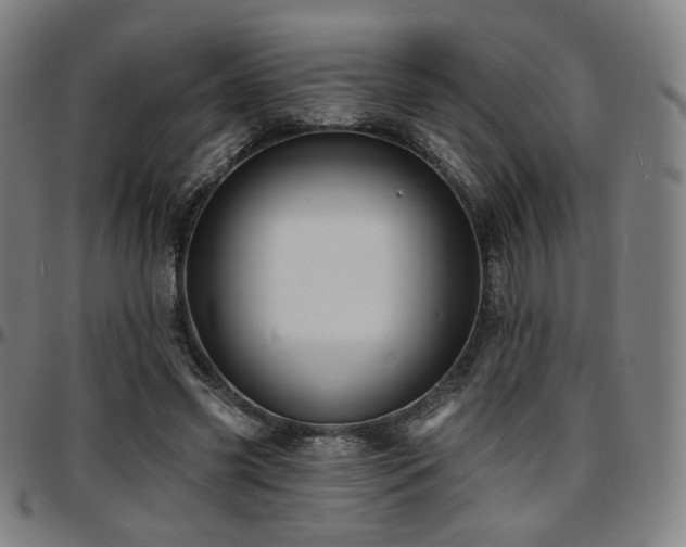 X0000097630541200802291343