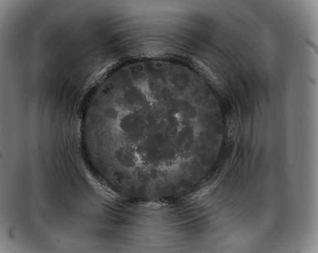 X0000097630542200802291343