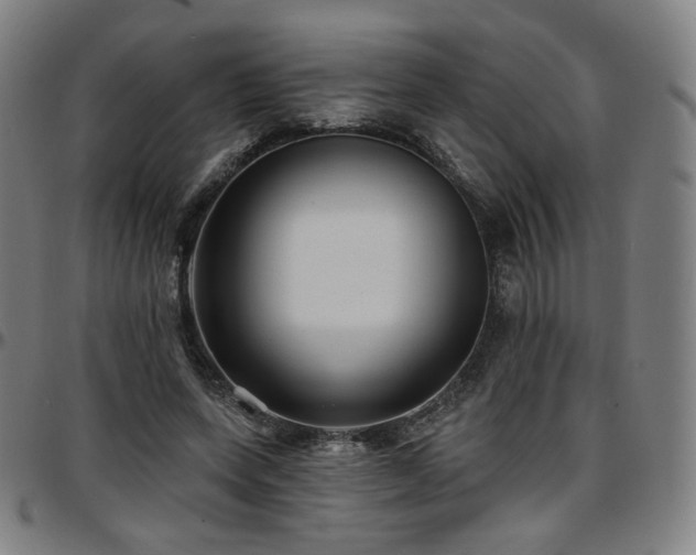 X0000097630543200802291343