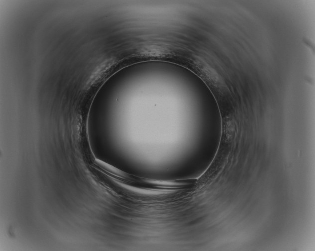 X0000097630544200802291343