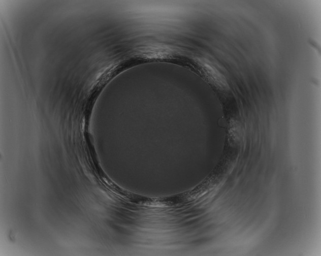 X0000097630547200802291343