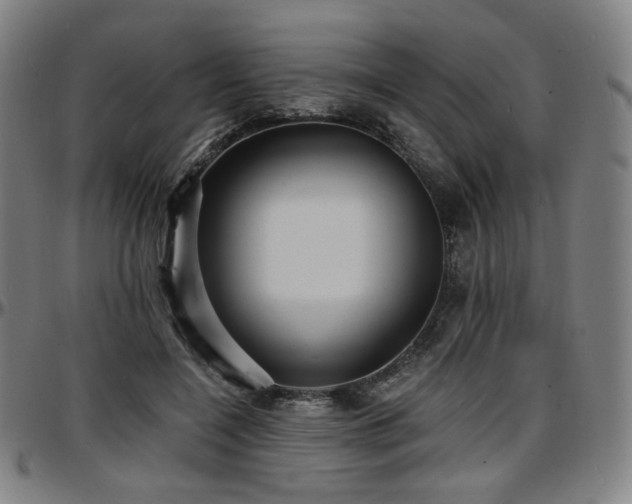 X0000097630548200802291343