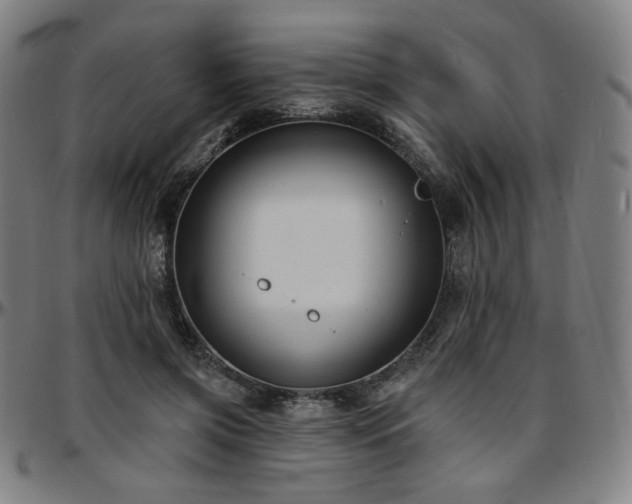 X0000097630549200802291343