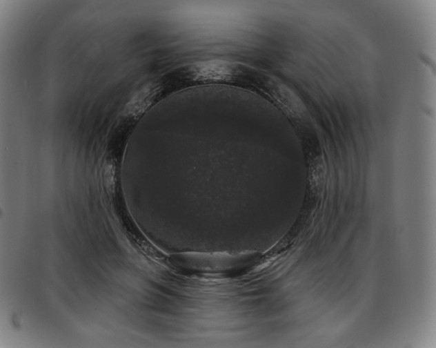 X0000097630551200802291343