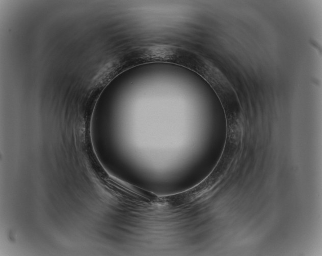 X0000097630552200802291343