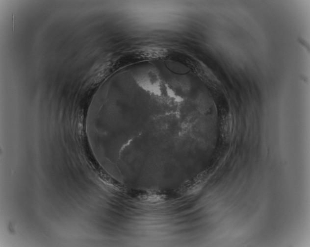 X0000097630553200802291343