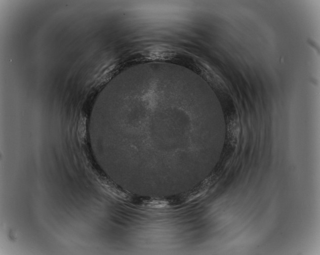 X0000097630554200802291343