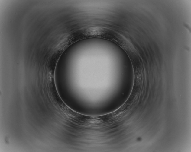 X0000097630555200802291343