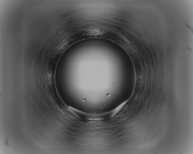 X0000097630556200802291343
