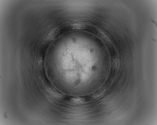 X0000097630557200802291343