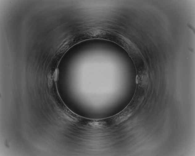 X0000097630558200802291343