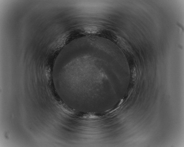 X0000097630559200802291343