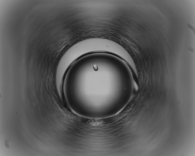X0000097630560200802291343