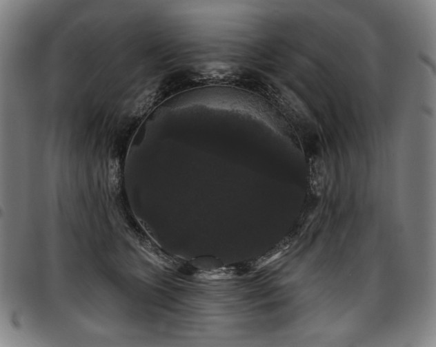 X0000097630563200802291343