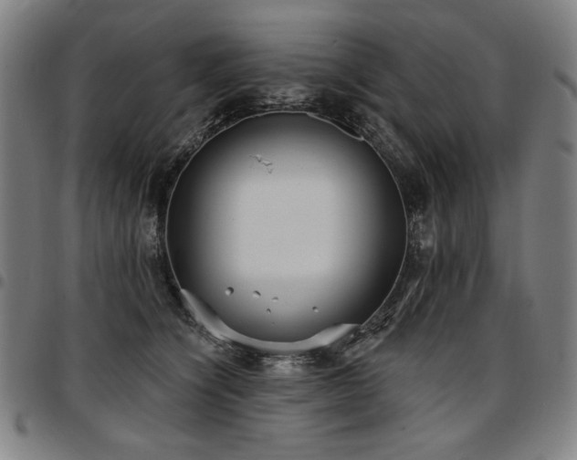 X0000097630564200802291343