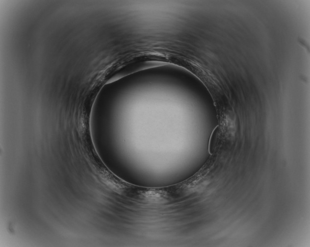 X0000097630566200802291343