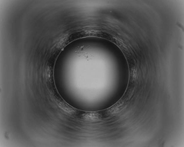 X0000097630567200802291343