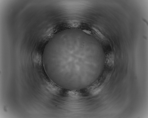 X0000097630568200802291343