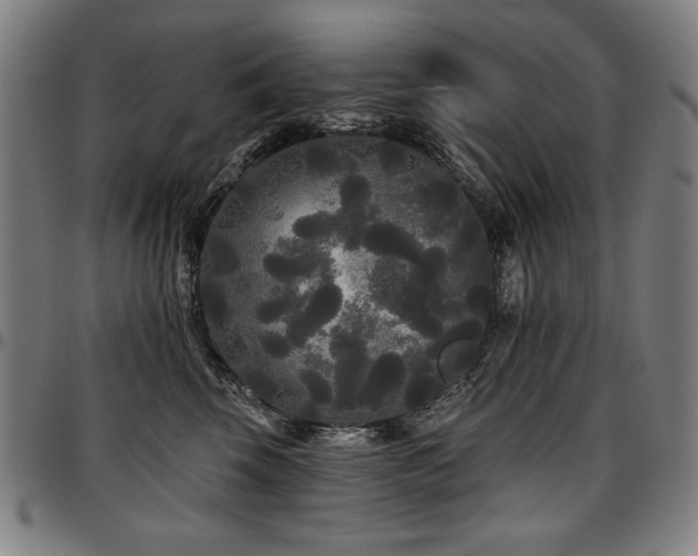 X0000097630569200802291343