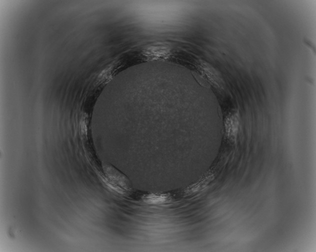 X0000097630570200802291343