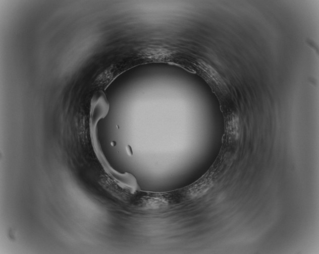 X0000097630572200802291343