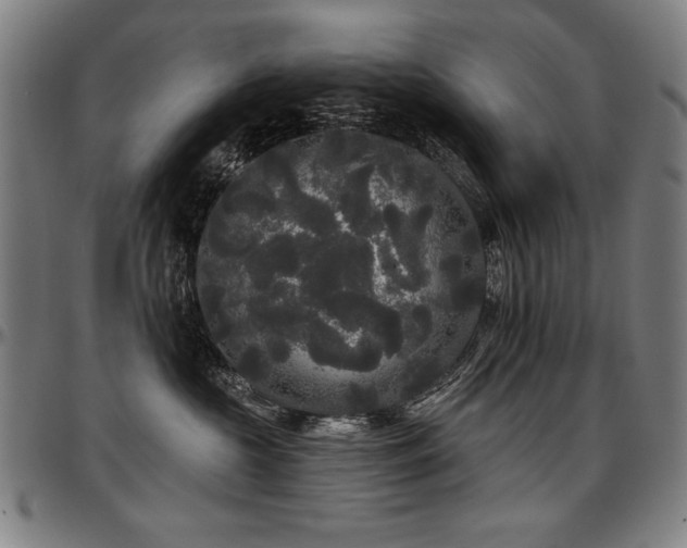 X0000097630573200802291343