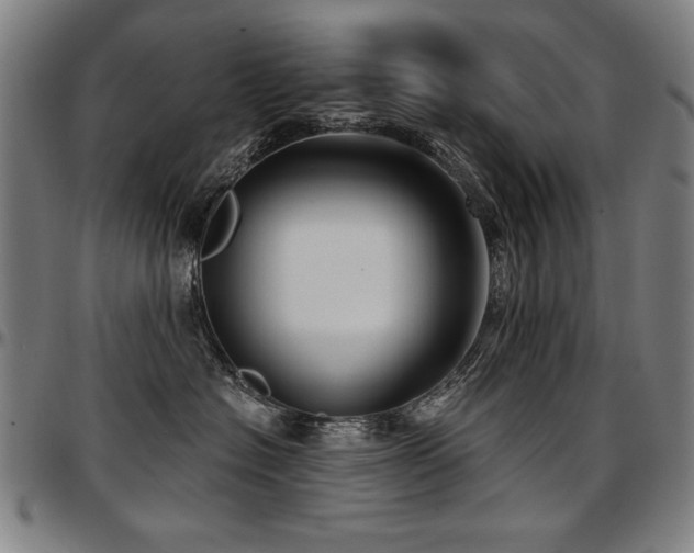 X0000097630574200802291343