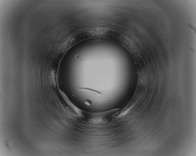 X0000097630575200802291343
