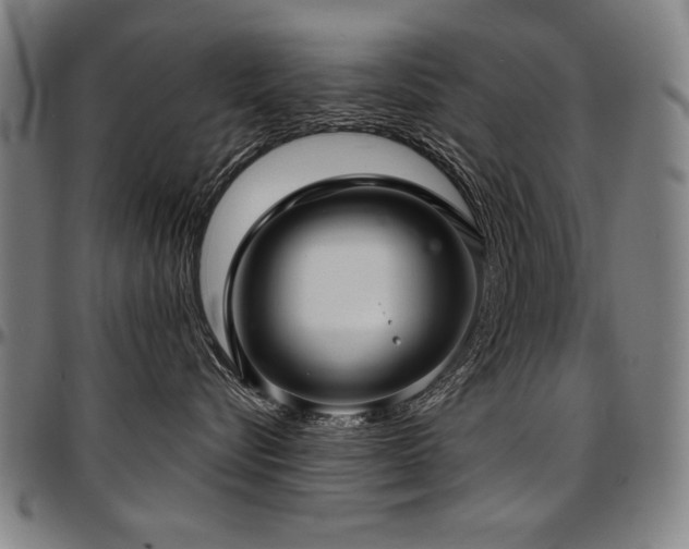 X0000097630576200802291343