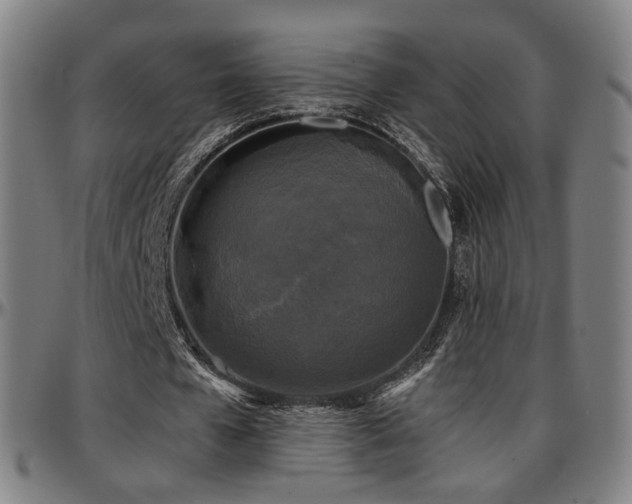 X0000097630577200802291343