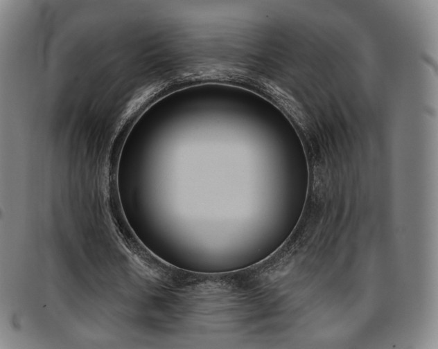 X0000097630578200802291343