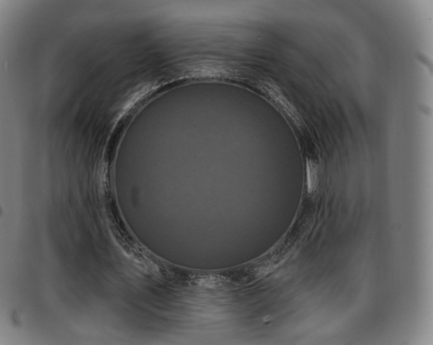 X0000097630579200802291343