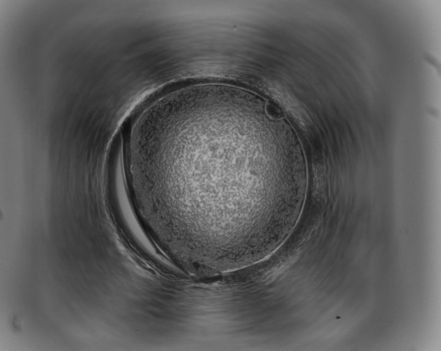 X0000097630580200802291343