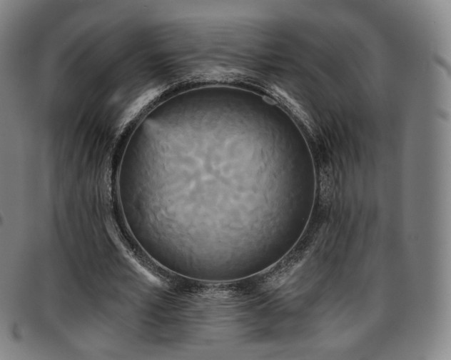 X0000097630581200802291343