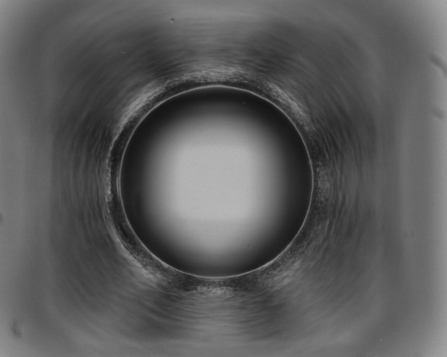 X0000097630582200802291343