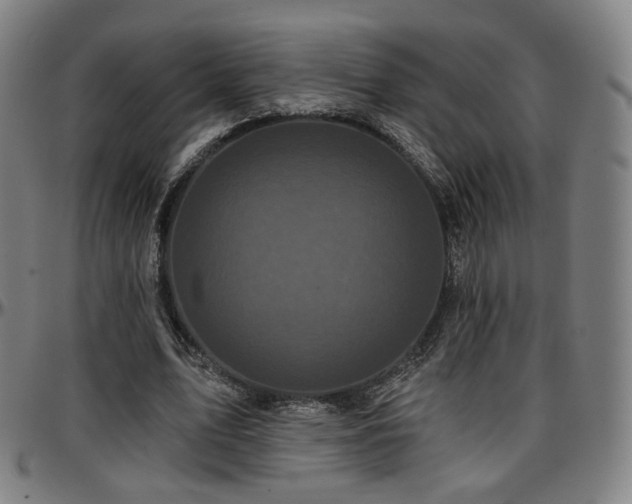 X0000097630583200802291343