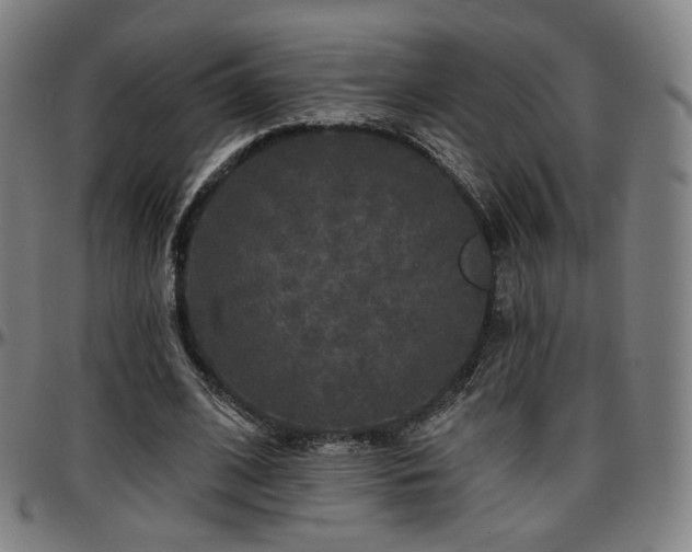 X0000097630584200802291343