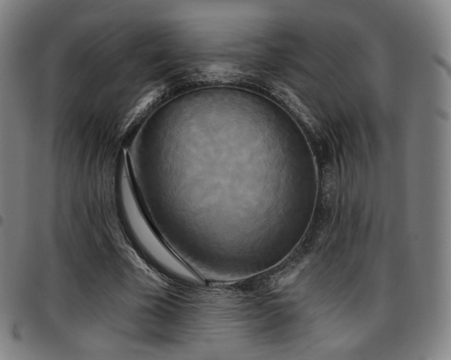 X0000097630585200802291343