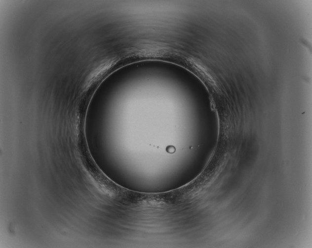 X0000097630586200802291343