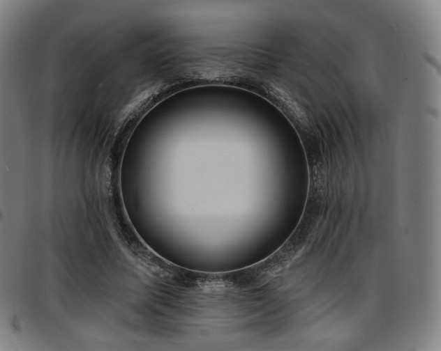 X0000097630587200802291342