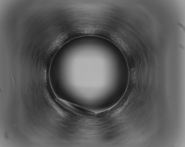 X0000097630589200802291342