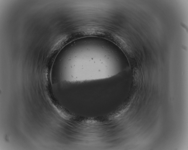X0000097630590200802291342