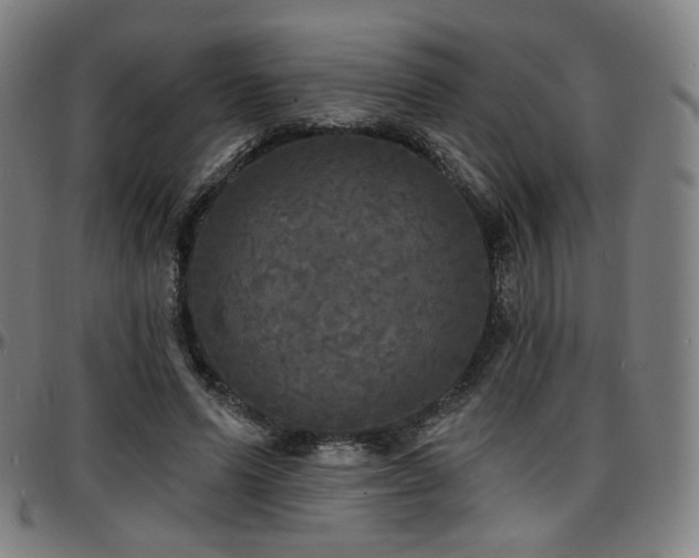 X0000097630591200802291342