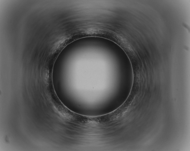X0000097630592200802291342